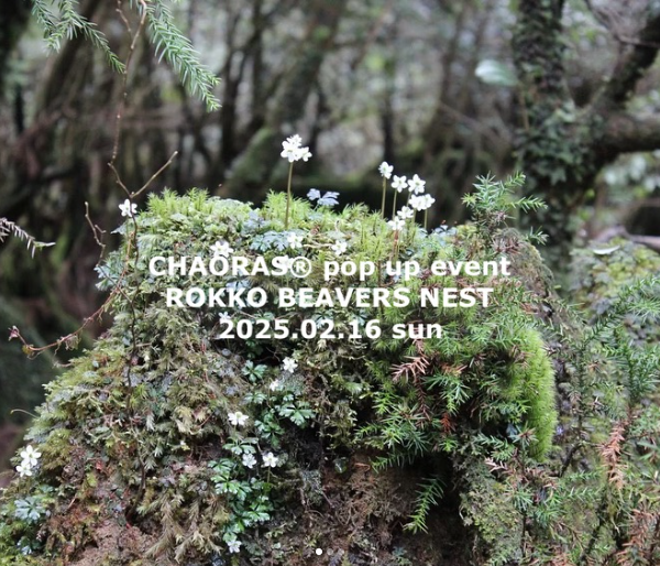 ROKKO BEAVERS NEST にてPOP UP イベントがあります